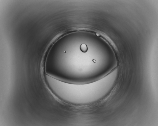 X0000114551285200910191404