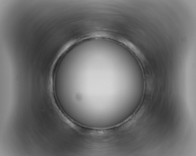X0000114551286200910191404