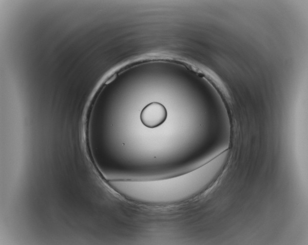 X0000114551288200910191404