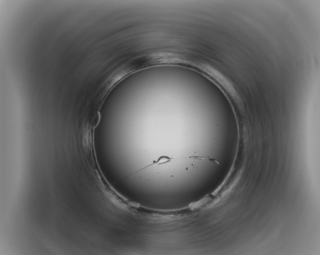 X0000114551289200910191404
