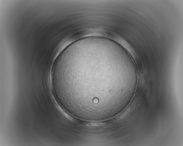 X0000114551290200910191404
