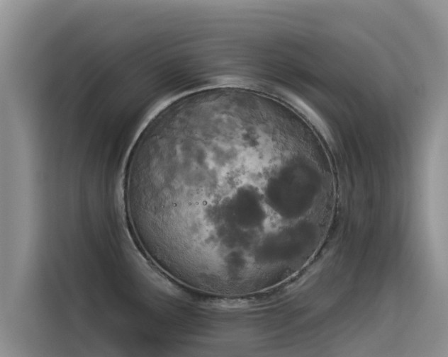 X0000114551291200910191404
