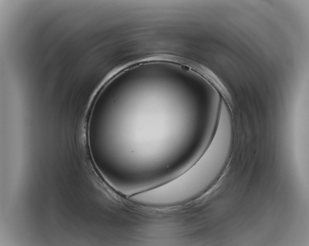 X0000114551292200910191404