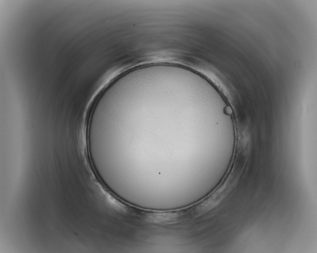 X0000114551294200910191404