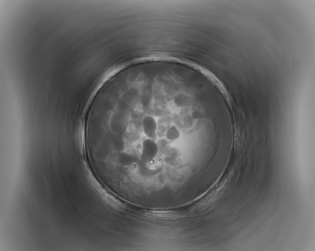 X0000114551295200910191404
