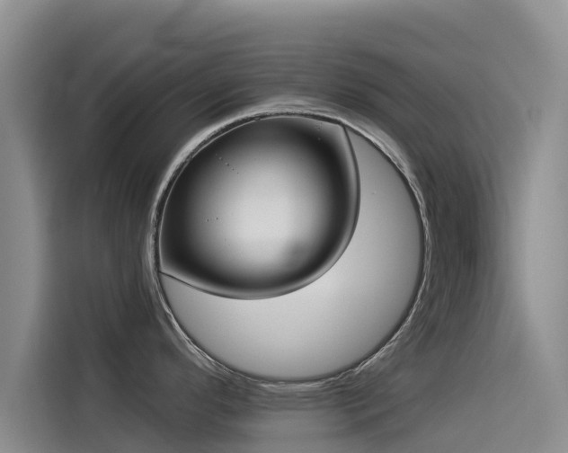 X0000114551296200910191404