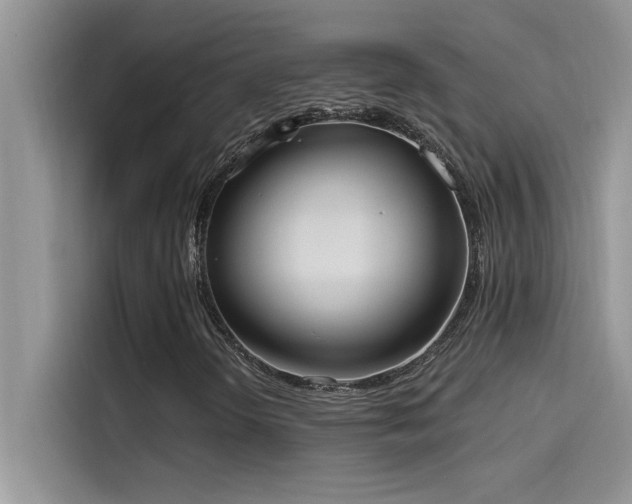 X0000114551298200910191403