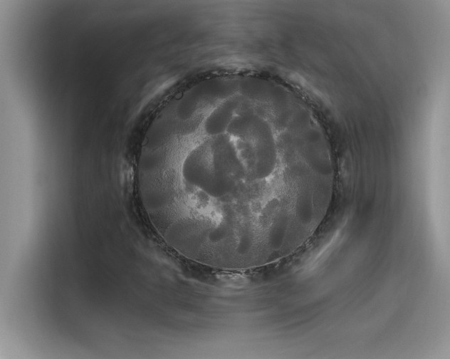 X0000114551302200910191403