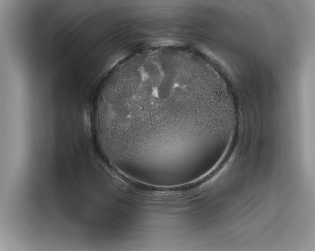 X0000114551305200910191403