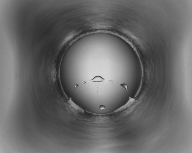 X0000114551306200910191403