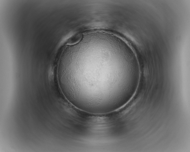 X0000114551309200910191403