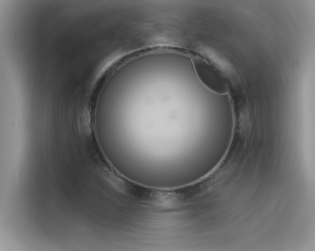 X0000114551310200910191403