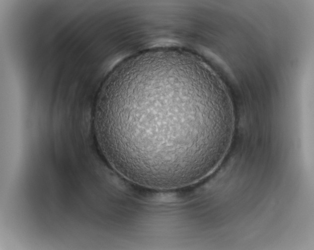 X0000114551313200910191403