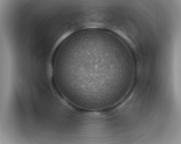 X0000114551317200910191403