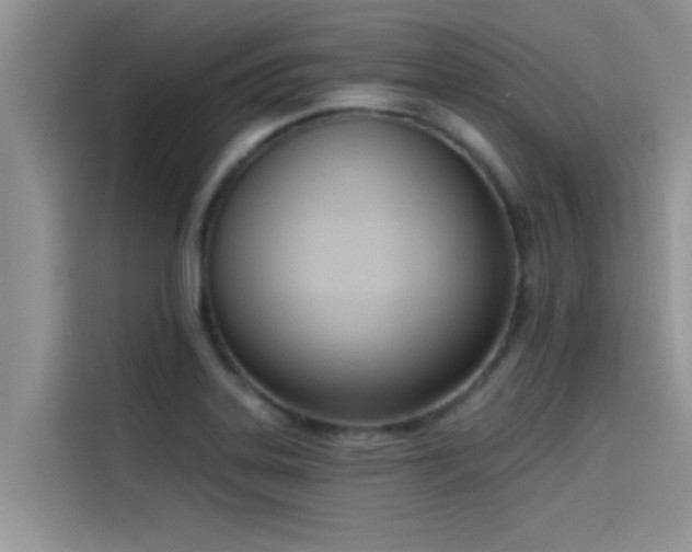 X0000114551323200910191403