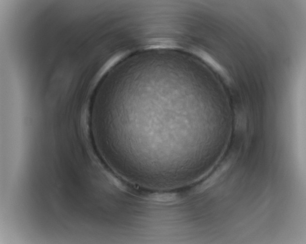 X0000114551325200910191403