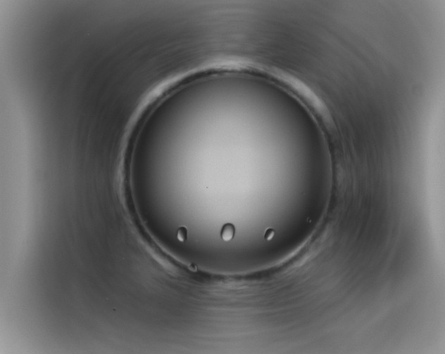 X0000114551327200910191403