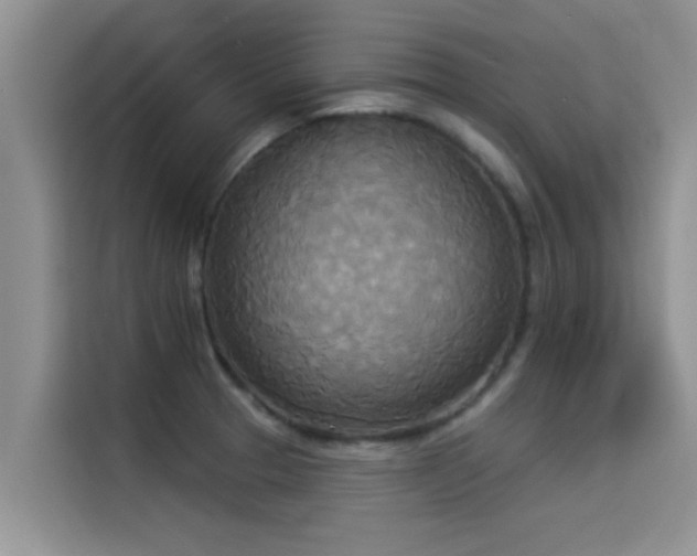 X0000114551329200910191403