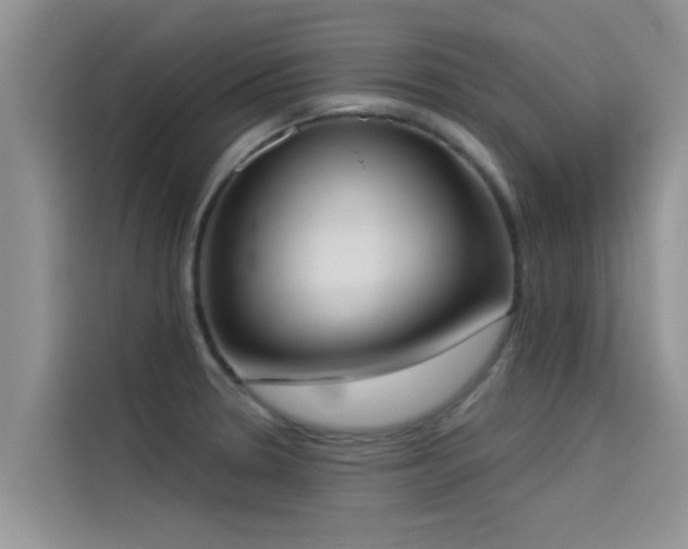 X0000114551330200910191403