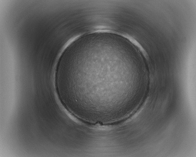 X0000114551333200910191403