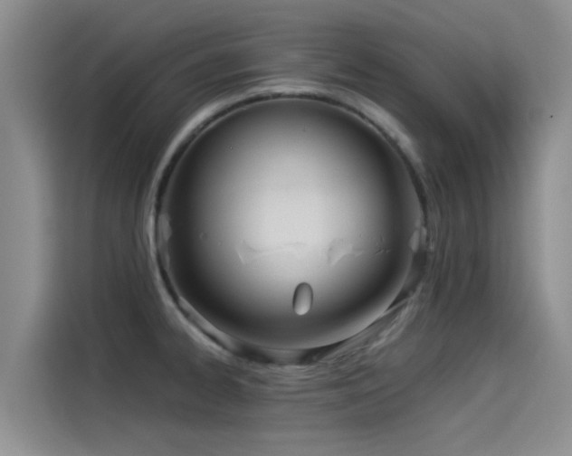 X0000114551334200910191403