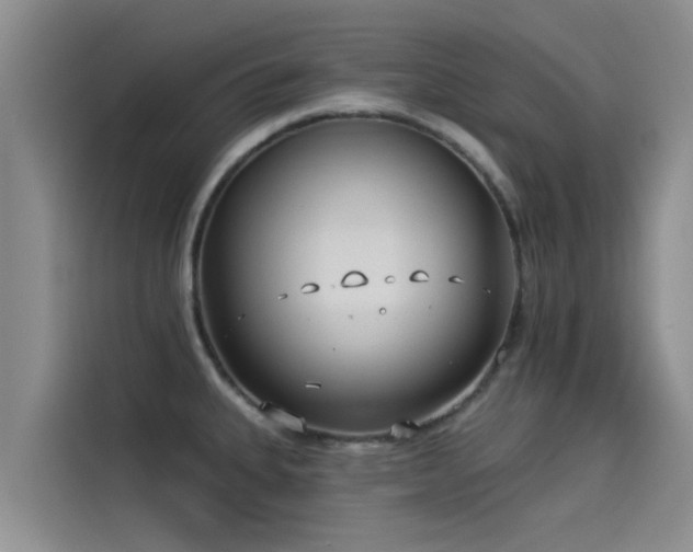 X0000114551335200910191403