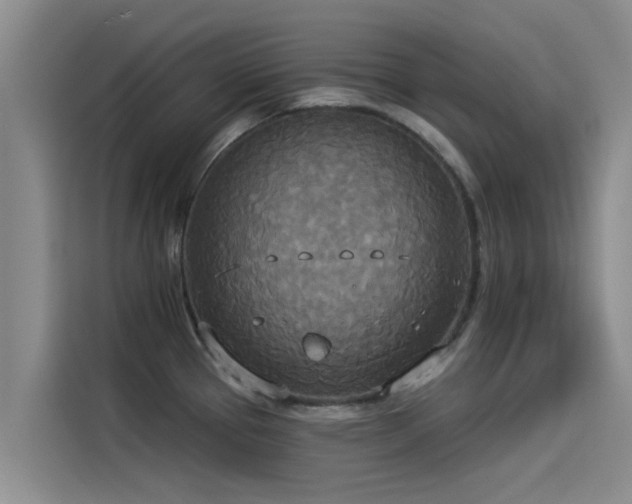 X0000114551337200910191403