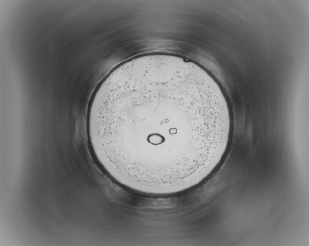 X0000114551338200910191403