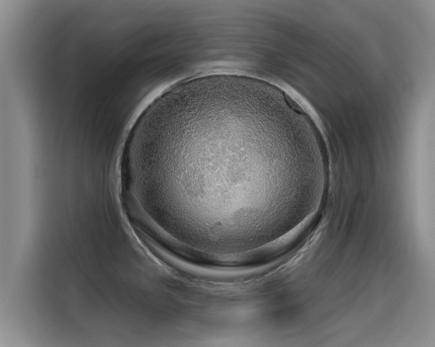 X0000114551341200910191403