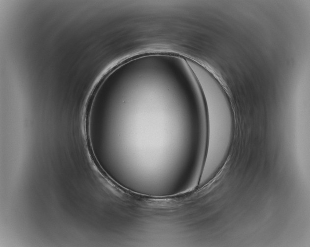 X0000114551342200910191403