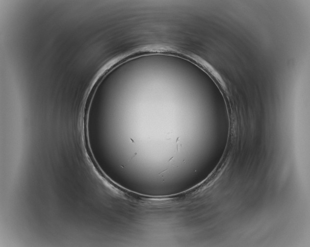 X0000114551343200910191403
