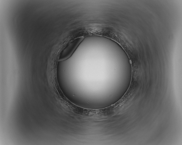 X0000114551345200910191403