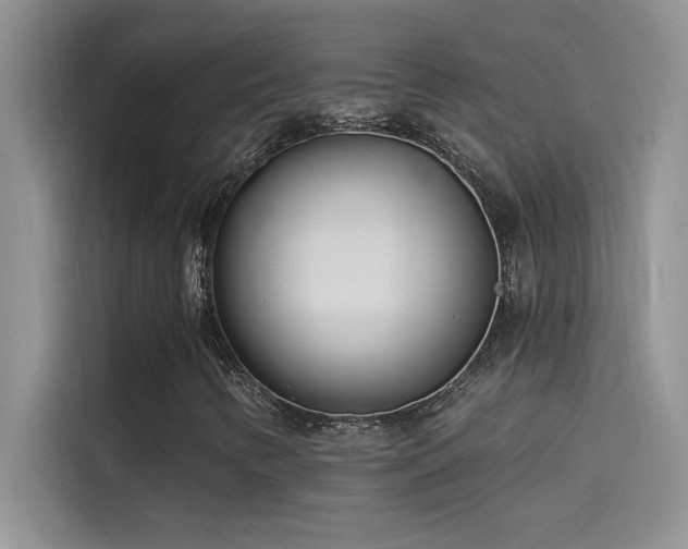 X0000114551346200910191403