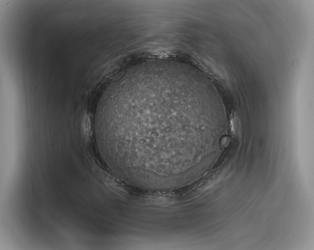 X0000114551347200910191403