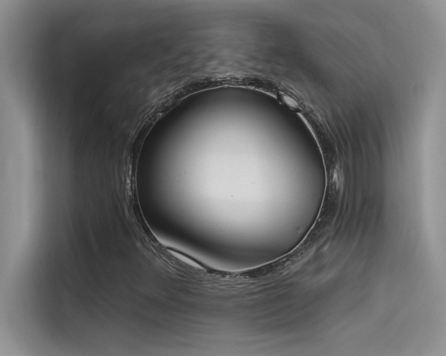 X0000114551348200910191403
