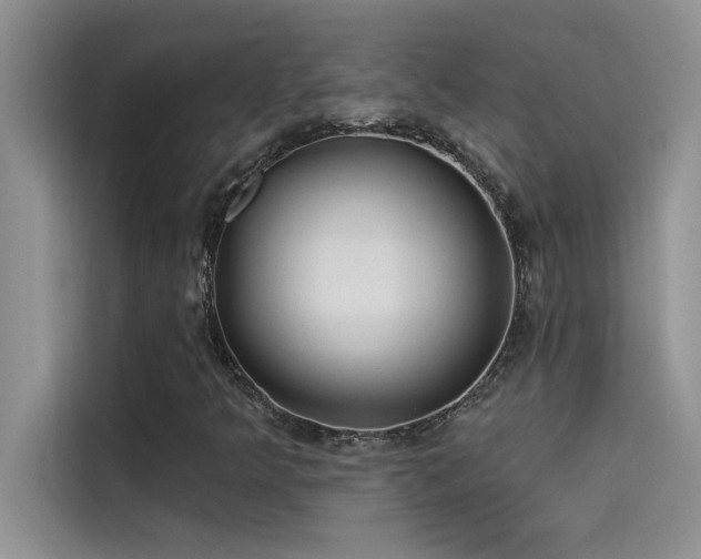 X0000114551349200910191403