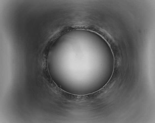 X0000114551350200910191403