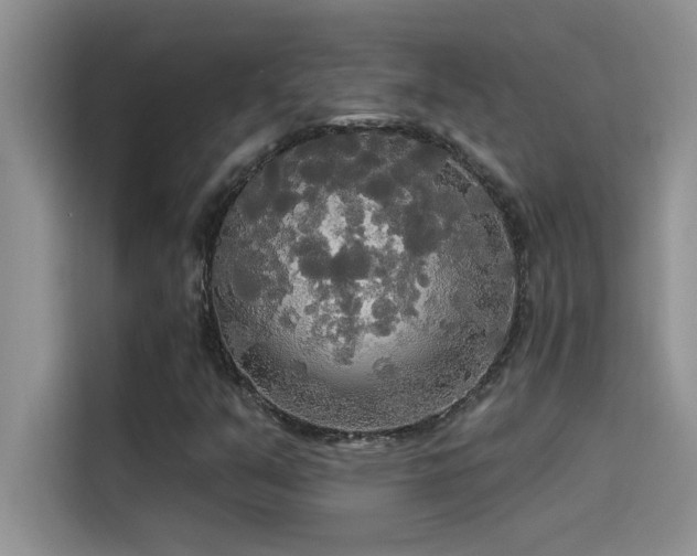 X0000114551351200910191403