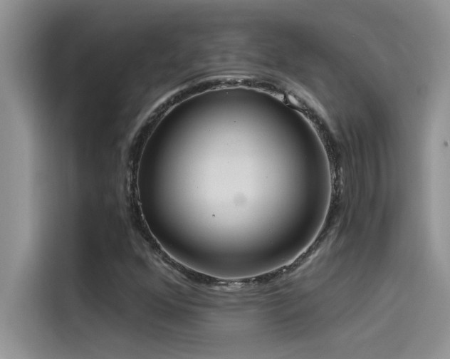 X0000114551352200910191403