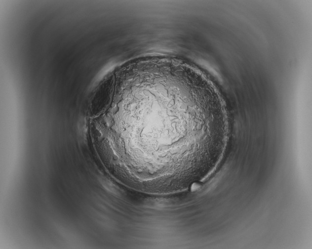 X0000114551355200910191403