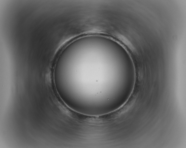 X0000114551356200910191403