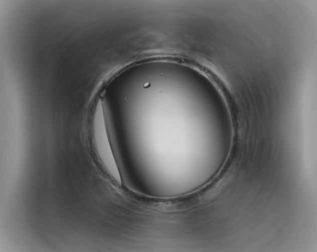 X0000114551357200910191403