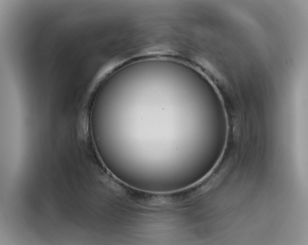 X0000114551358200910191403