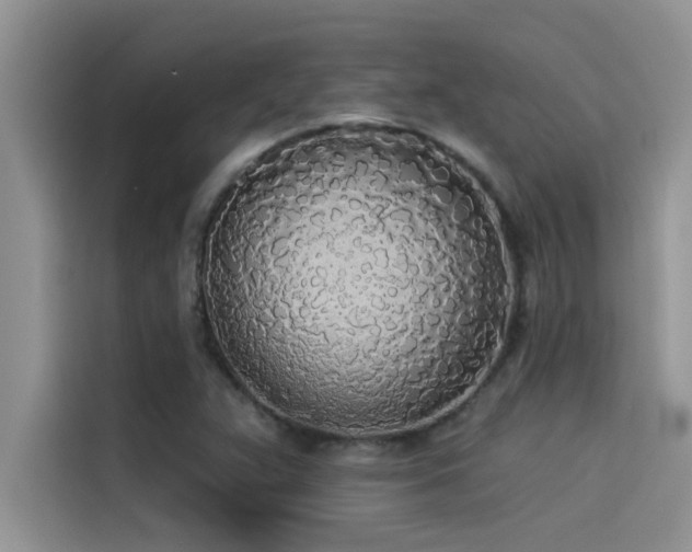 X0000114551359200910191403