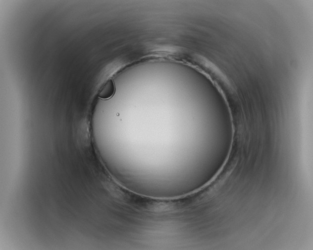 X0000114551362200910191403
