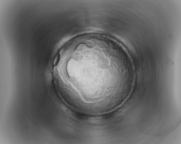 X0000114551363200910191403