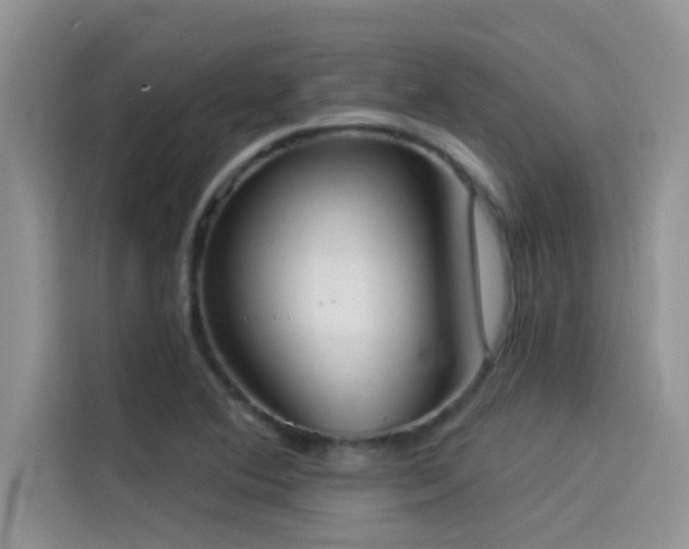 X0000114551364200910191403