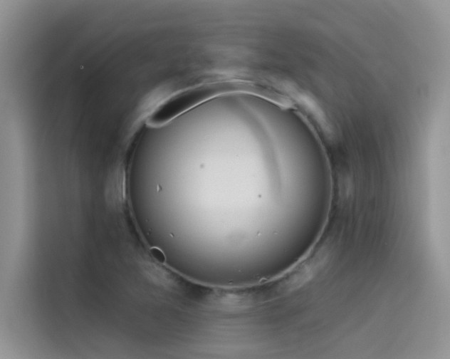 X0000114551365200910191403