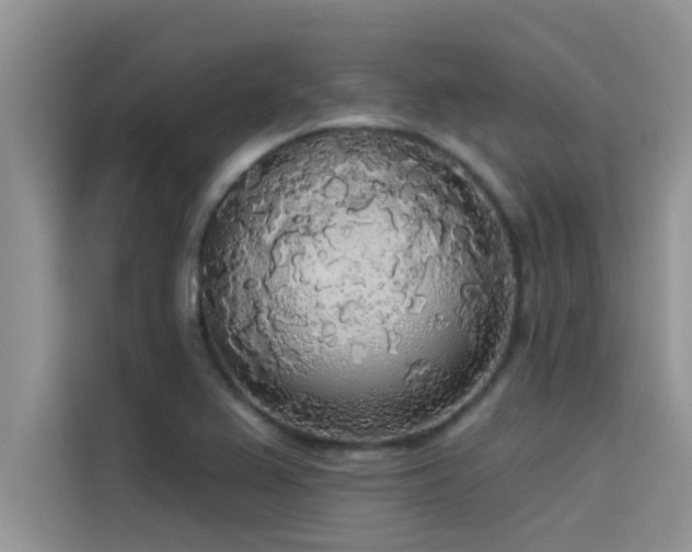X0000114551367200910191403
