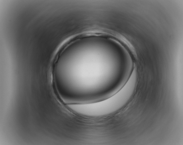 X0000114551368200910191403